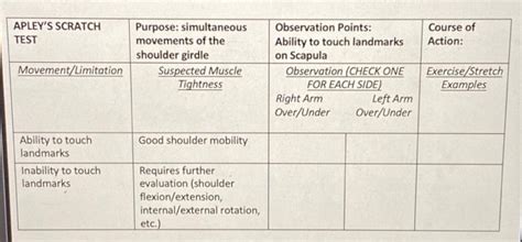 scratch test steps|apley scratch test steps.